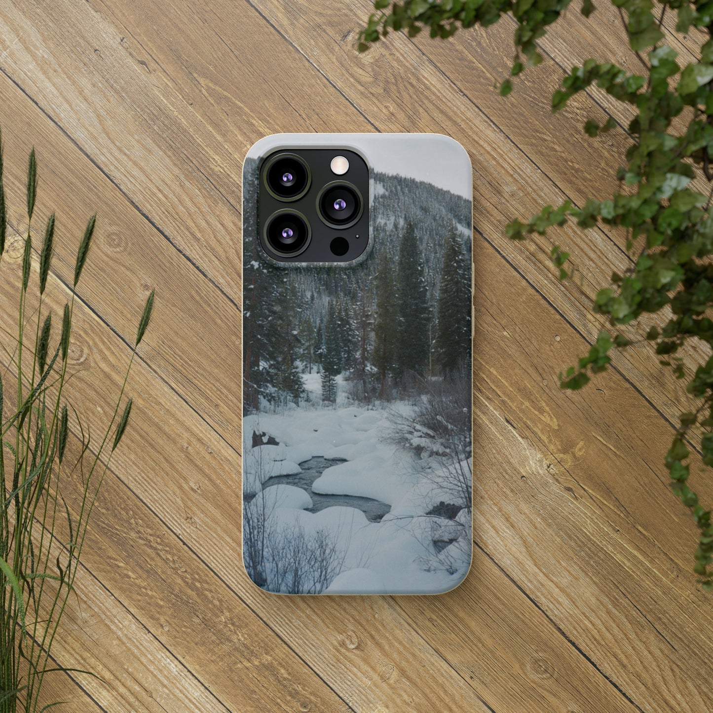 Serene Winter Colorado Landscape Film Photo printed on Biodegradable Case