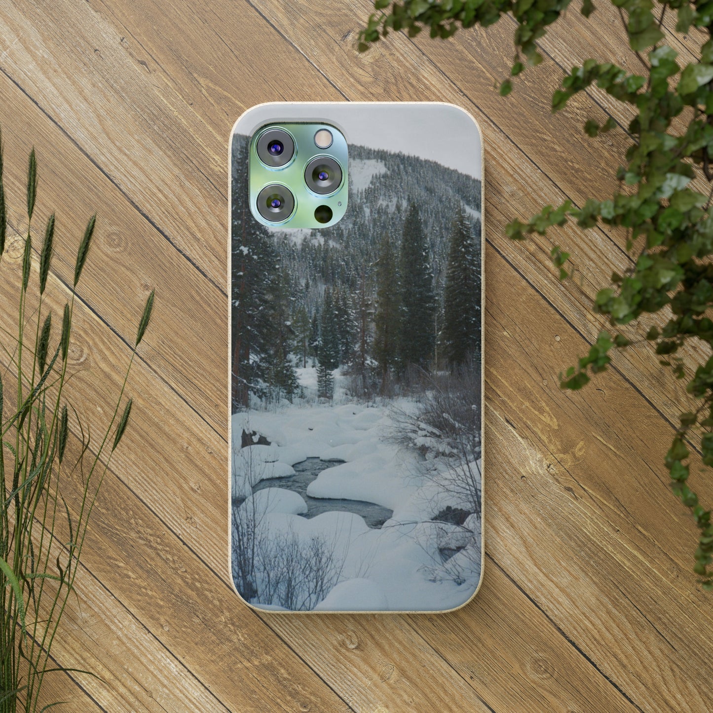Serene Winter Colorado Landscape Film Photo printed on Biodegradable Case