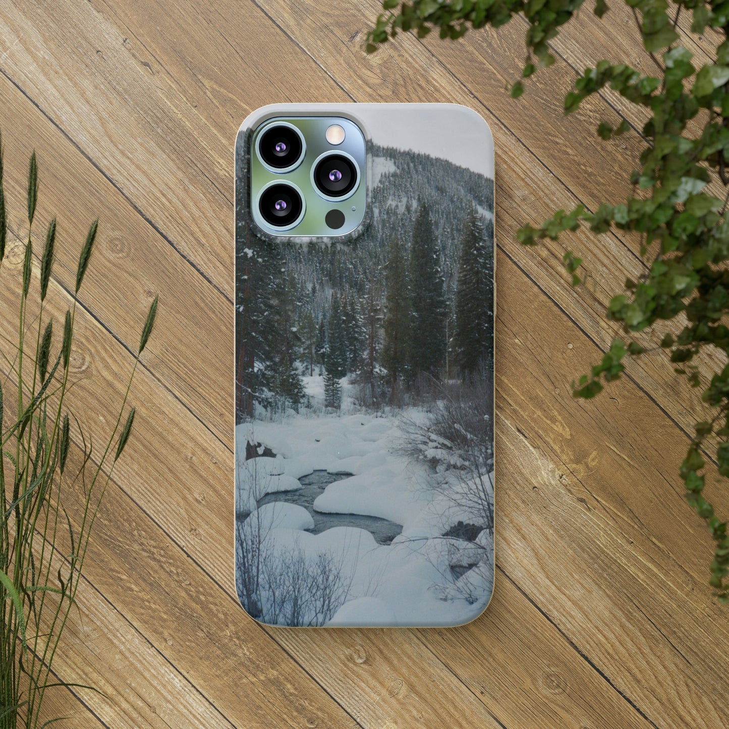 Serene Winter Colorado Landscape Film Photo printed on Biodegradable Case