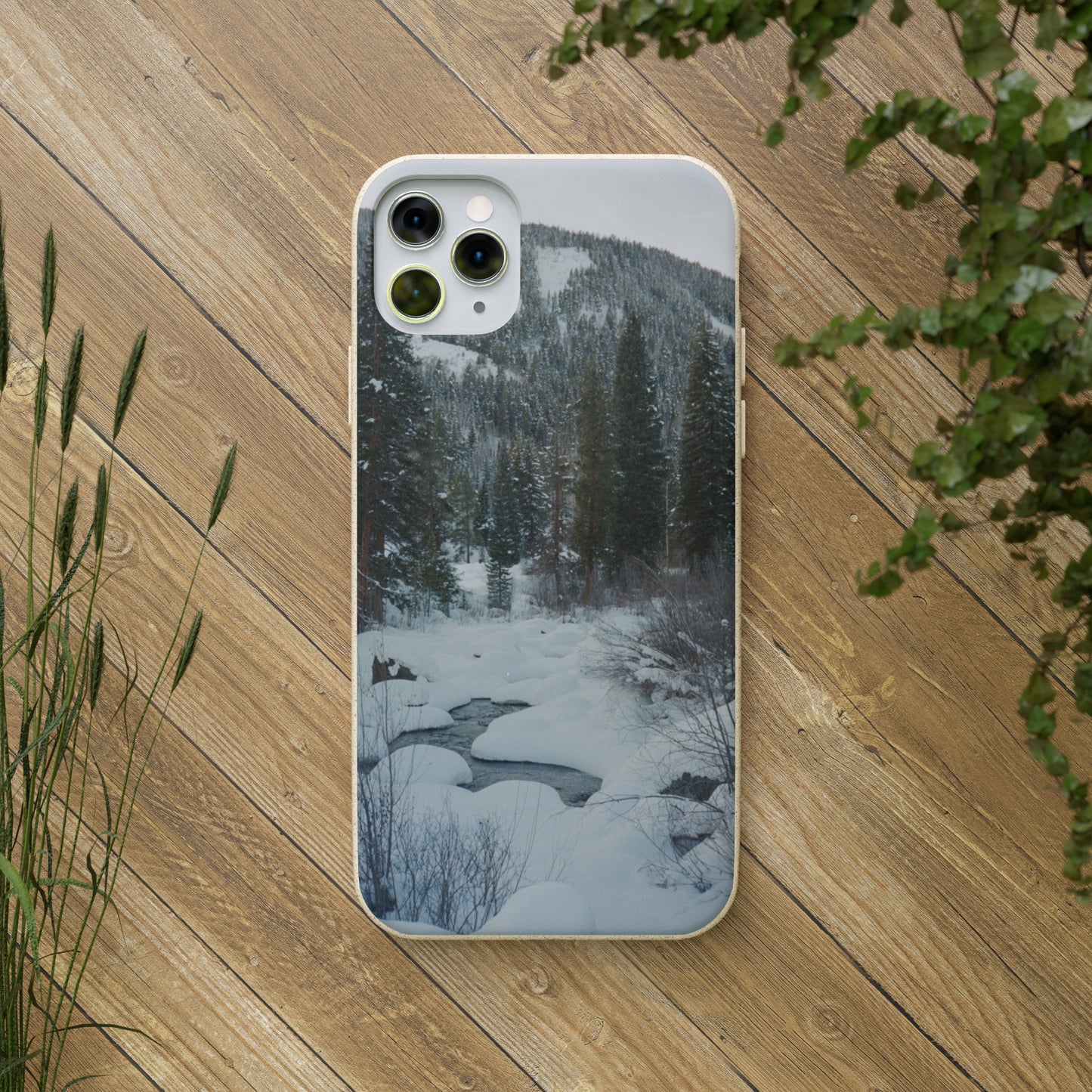 Serene Winter Colorado Landscape Film Photo printed on Biodegradable Case