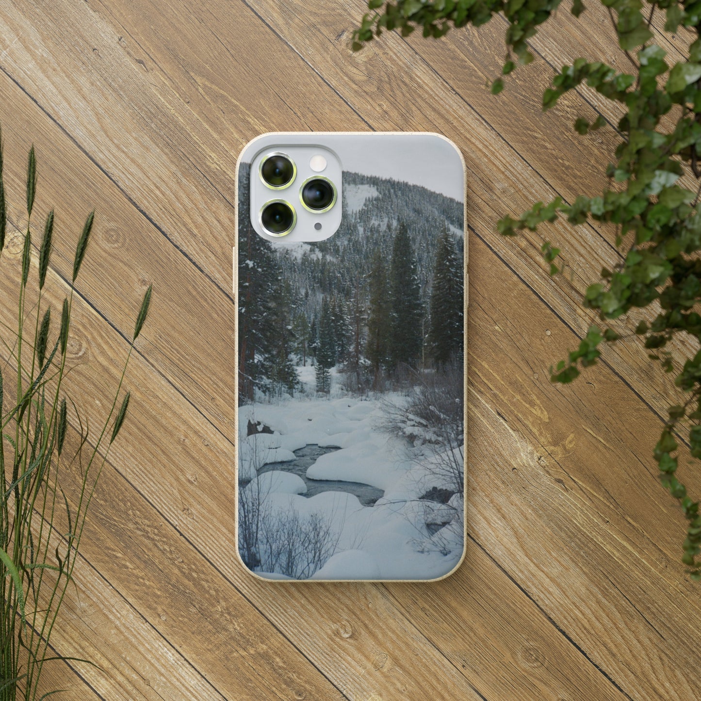 Serene Winter Colorado Landscape Film Photo printed on Biodegradable Case