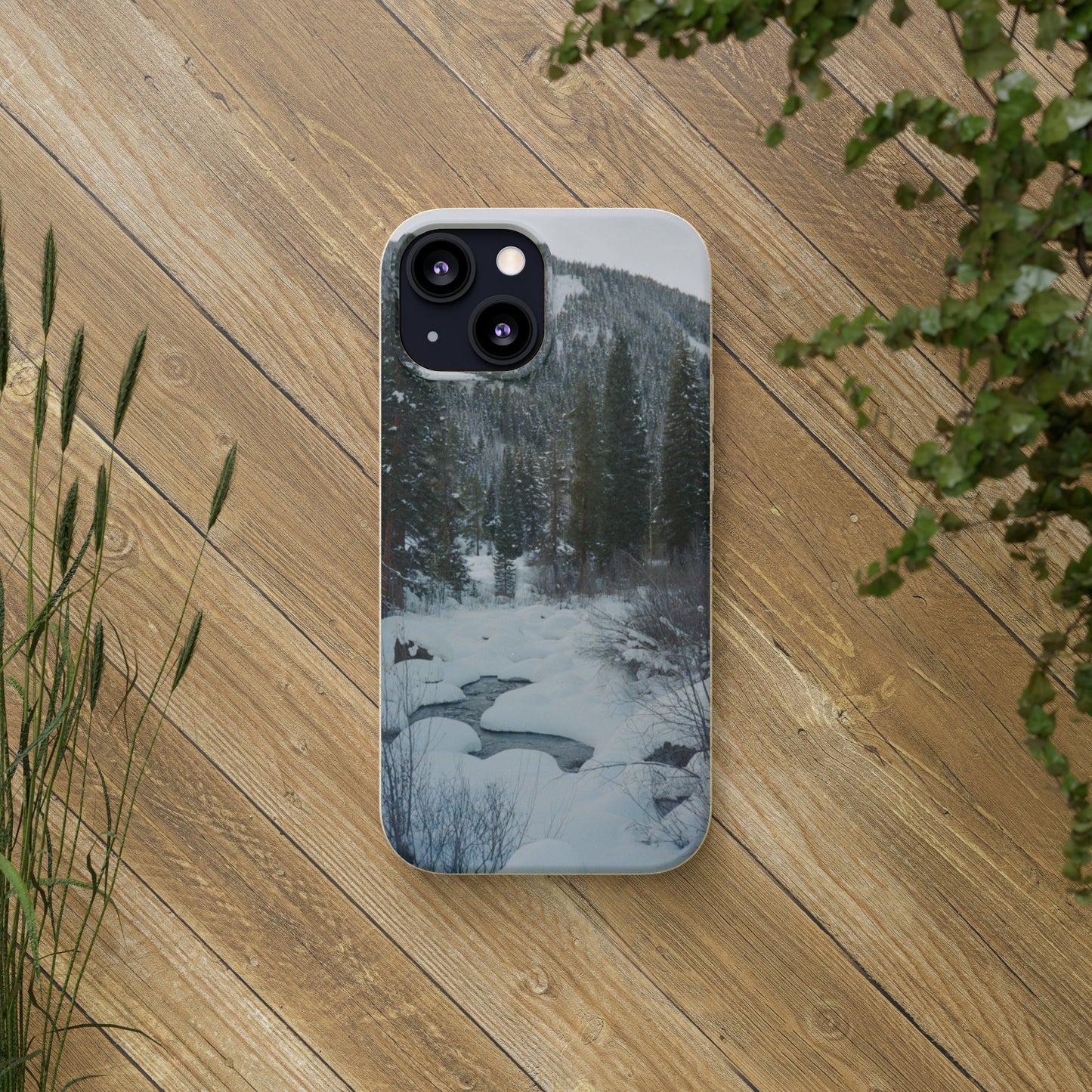 Serene Winter Colorado Landscape Film Photo printed on Biodegradable Case