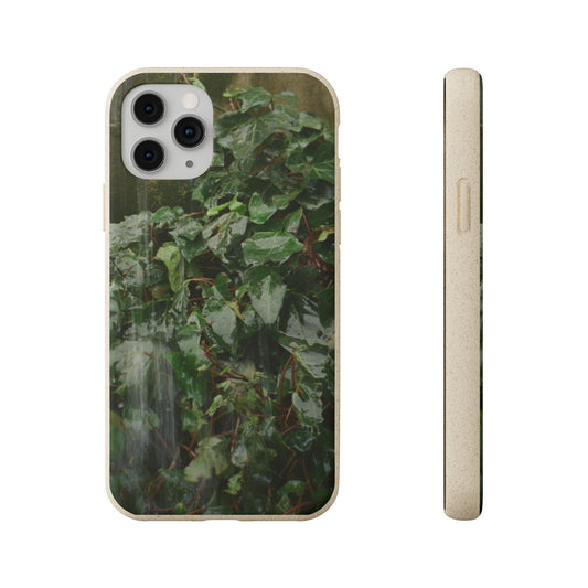 Rain Pouring on Green Ivy Leaves Film Photo backdrop Printed on Biodegradable Case