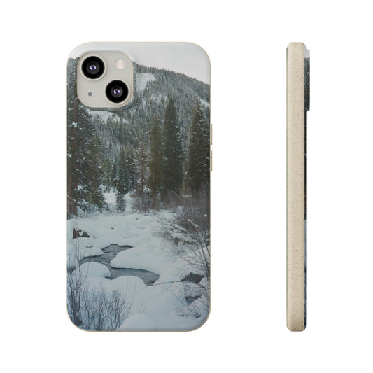 Serene Winter Colorado Landscape Film Photo printed on Biodegradable Case