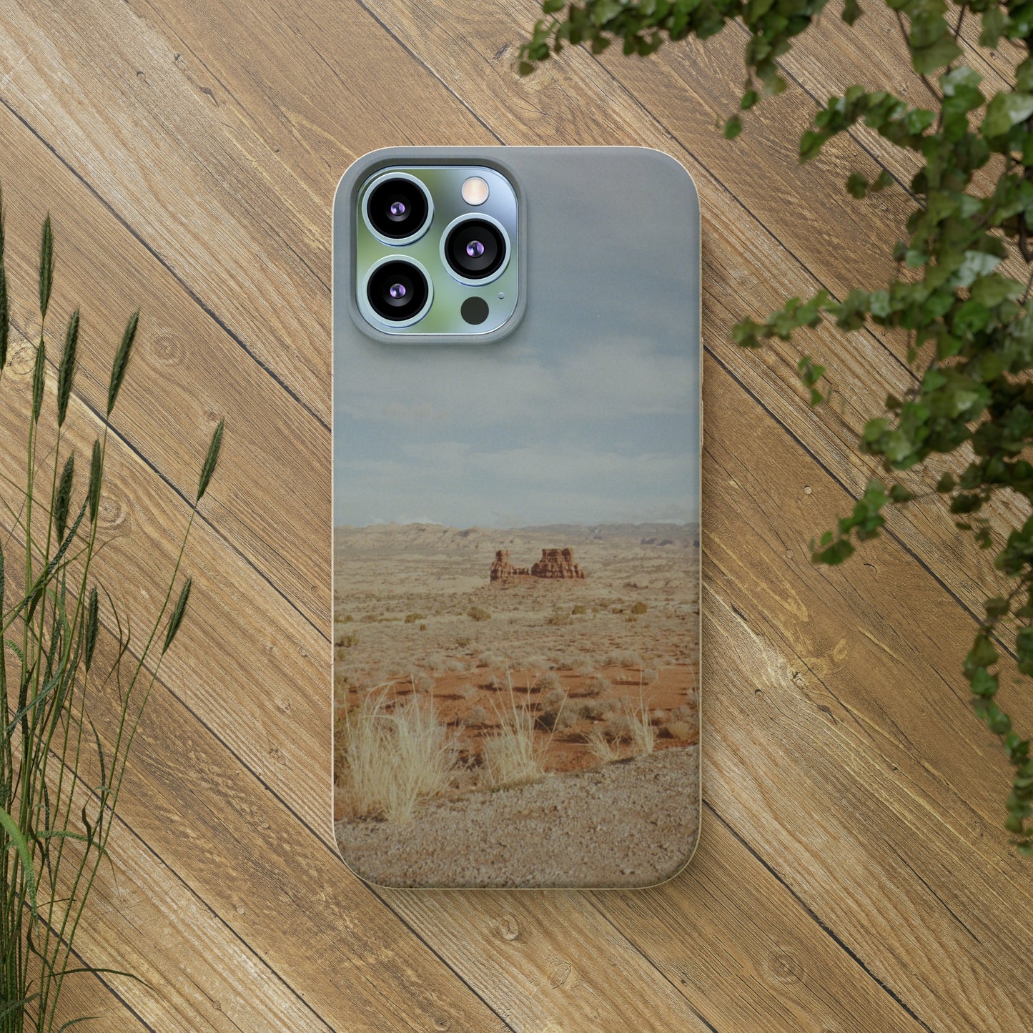 The Wild West Landscape Printed on Biodegradable Case