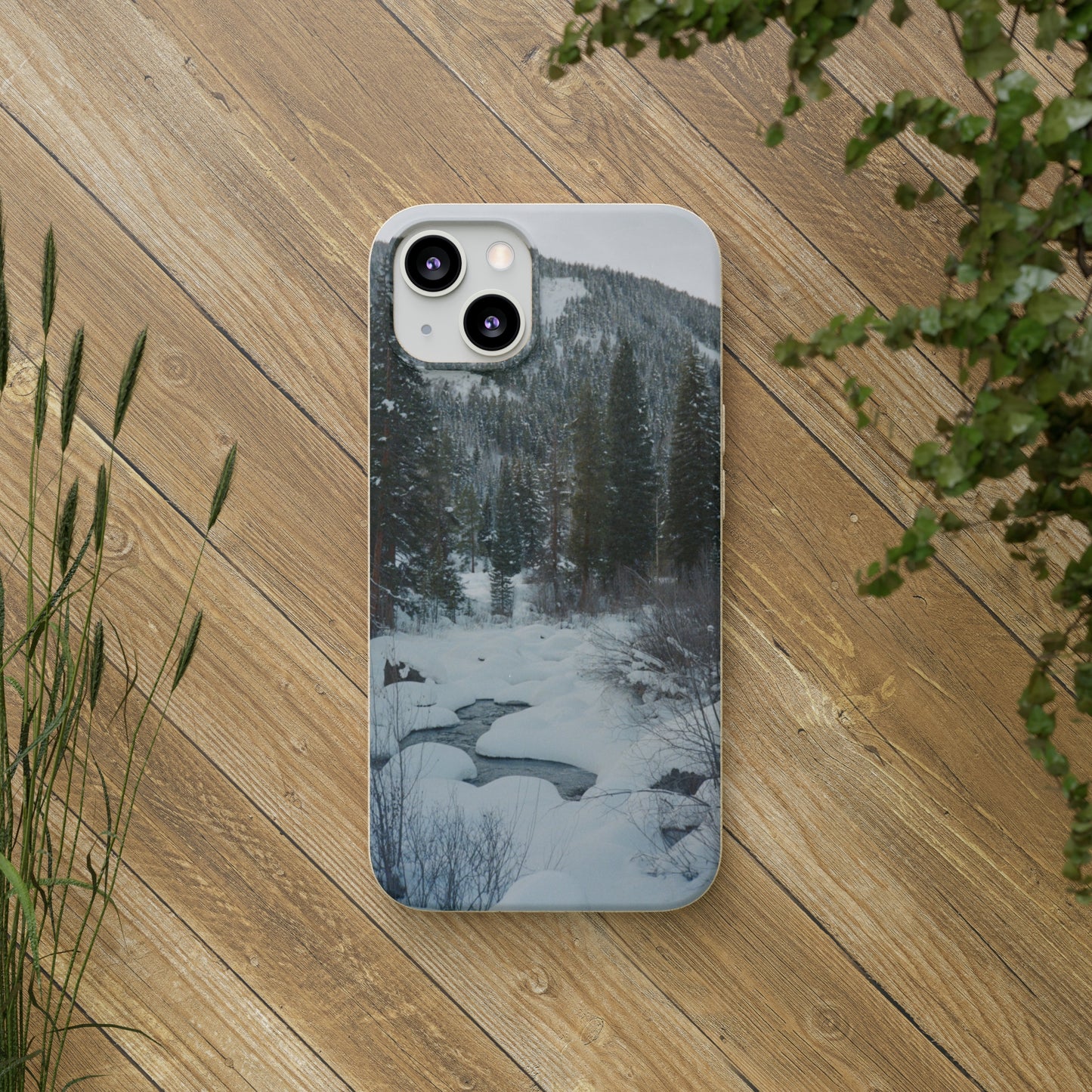 Serene Winter Colorado Landscape Film Photo printed on Biodegradable Case